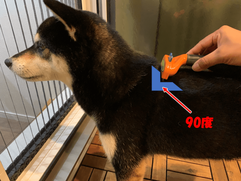 柴犬へのファーミネーターの使い方を写真 動画で解説 換毛期の抜け毛対策に Dog As Life